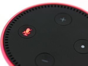 Alexa Now Makes It Easy To Donate To Charity